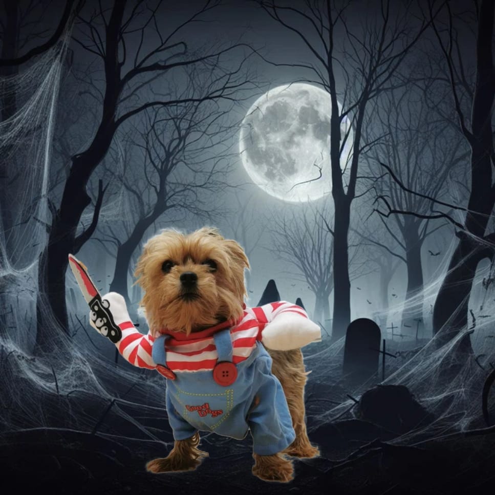 Contest graphic #4 from Howl o Ween – Cute yet creepy Pomeranian dressed as Chucky doll, wielding a knife in a moonlit cemetery overgrown with webs and graves